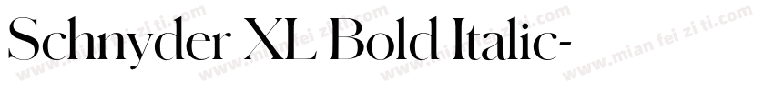 Schnyder XL Bold Italic字体转换